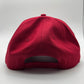 Rodeo Hat